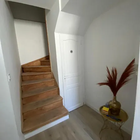 Le Tropical : T2 Renove Ambiance Cosy Et Coloree Mazamet Exterior photo