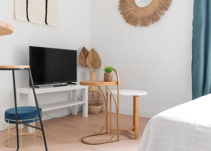 Le Tropical : T2 Renove Ambiance Cosy Et Coloree